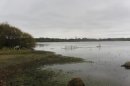 Lac de Grand-Lieu